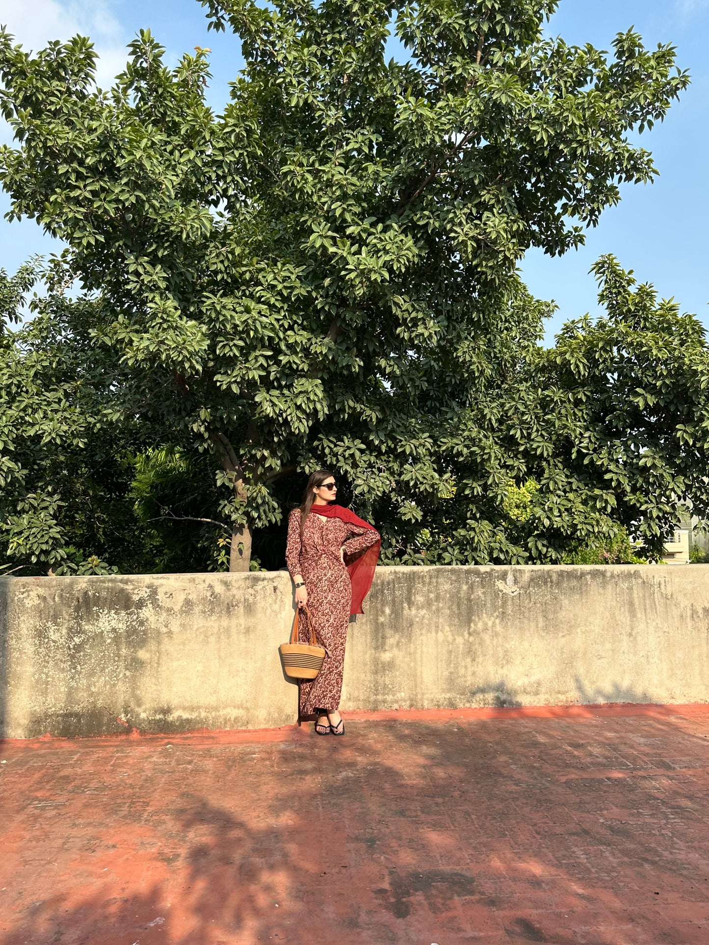Zareen Dress